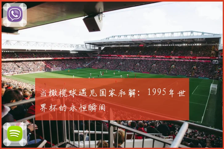 当橄榄球遇见国家和解：1995年世界杯的永恒瞬间