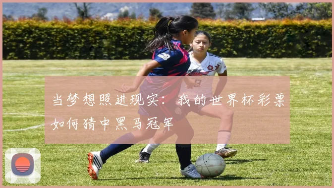 当梦想照进现实：我的世界杯彩票如何猜中黑马冠军