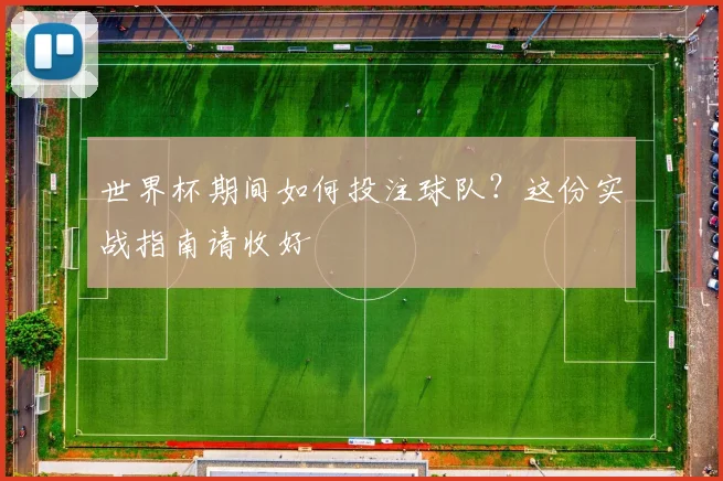 世界杯期间如何投注球队？这份实战指南请收好