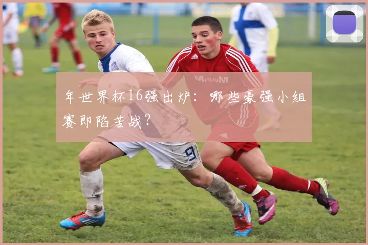年世界杯16强出炉:哪些豪强小组赛即陷苦战?