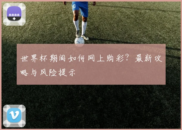 世界杯期间如何网上购彩？最新攻略与风险提示