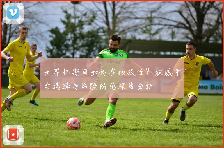 世界杯期间如何在线投注？权威平台选择与风险防范深度分析