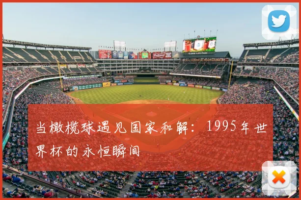当橄榄球遇见国家和解：1995年世界杯的永恒瞬间