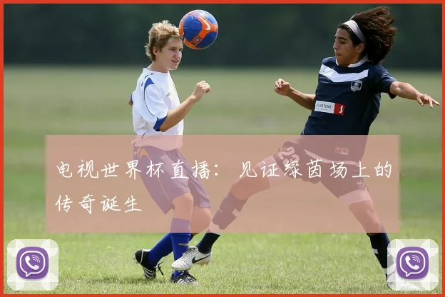 电视世界杯直播：见证绿茵场上的传奇诞生