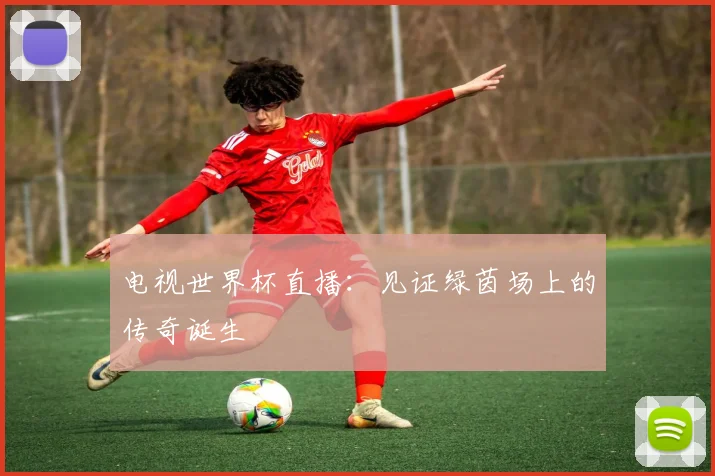 电视世界杯直播：见证绿茵场上的传奇诞生