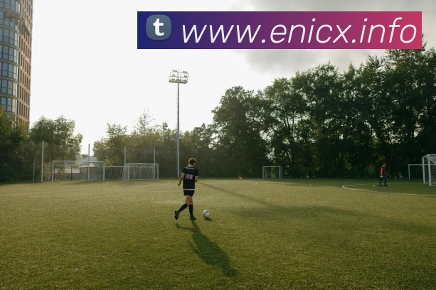 对战数据统计